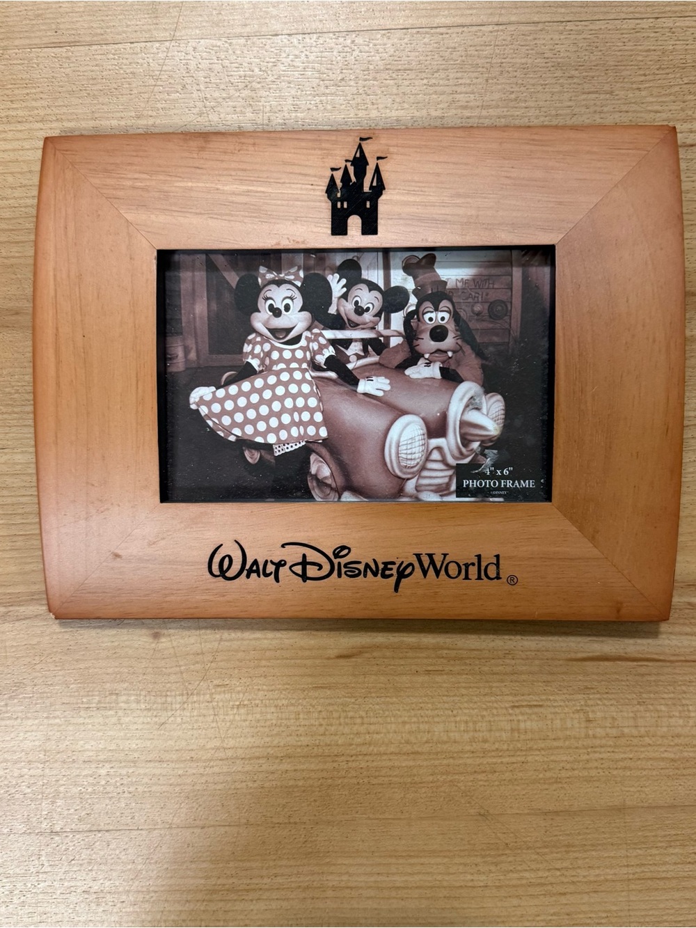 Walt Disney World Wooden 4x6
Photo Frame
